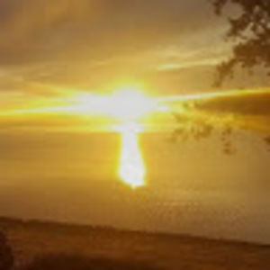 Meet your Posher, Skyler